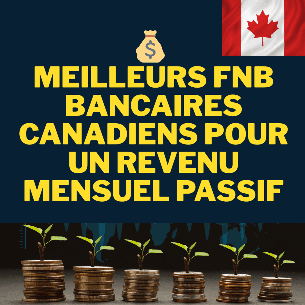 FNB BANQUE