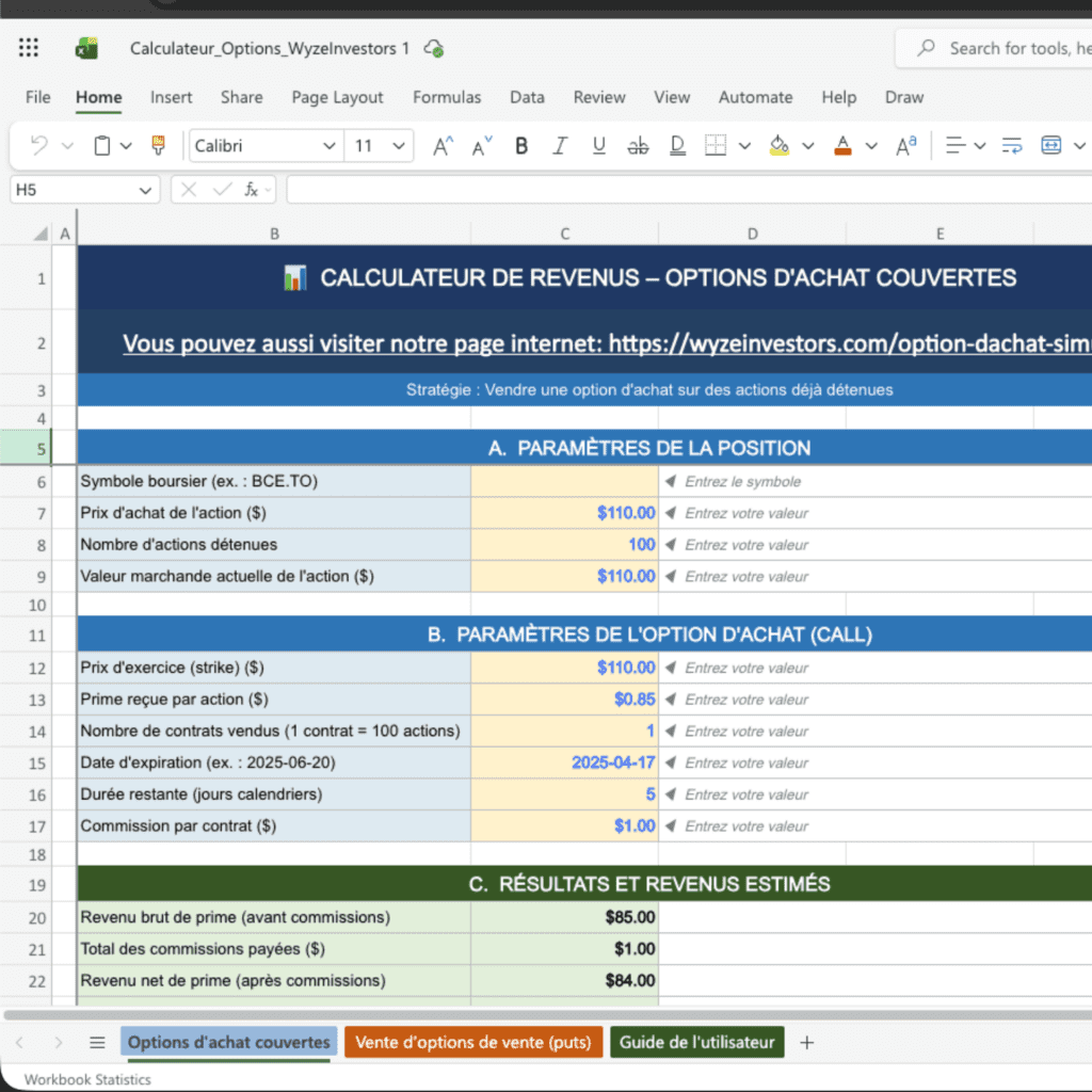 Aperçu du calculateur Excel pour options
